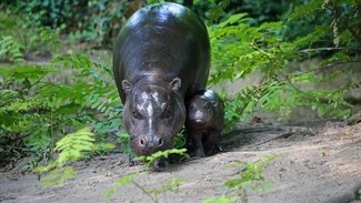 Zoologischer Garten Berlin
