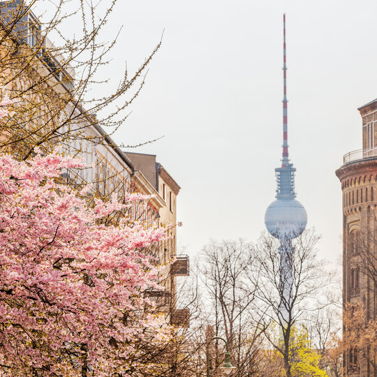 Vista desde Kollwitzplatz a la Torre de TV en primavera 