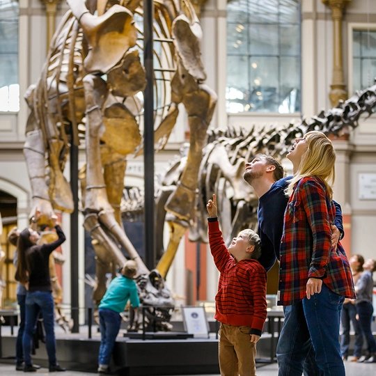 Museum of Natural History Family in the Museum of Natural History Berlin