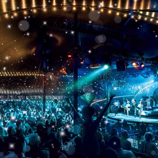TIPI AM KANZLERAMT Tipi am Kanzleramt in Berlin: cabaret