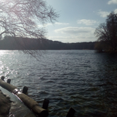 Blick auf den Schlachtensee