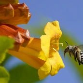 Fotografie von Holger May Fotografie von Holger May