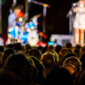 Publikum beim Konzert