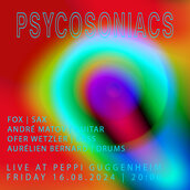 Veranstaltungen in Berlin: Psycosoniacs