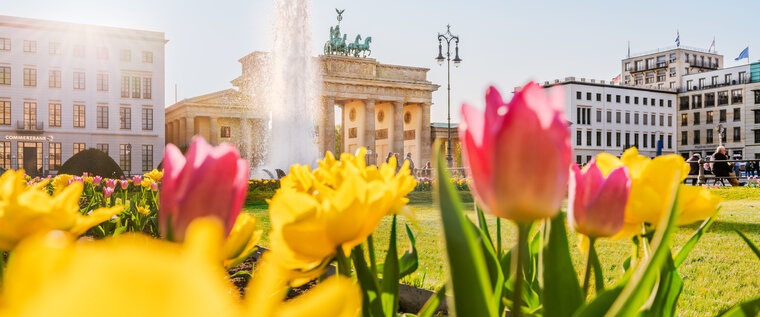 Blütenpracht am Brandenburger Tor, Berlin