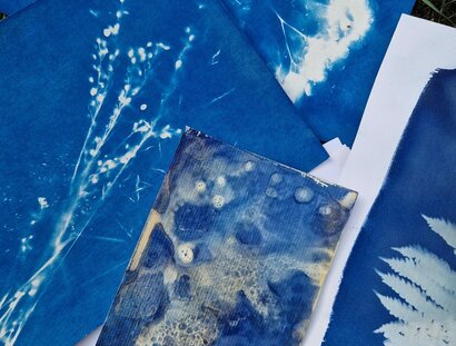 Diverse Materialbeispiele von Cyanotypie auf weißem Papier, auf Gras liegend.