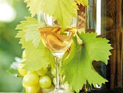 Ein Weinglas gefüllt mit Weißwein vor Weinlaub