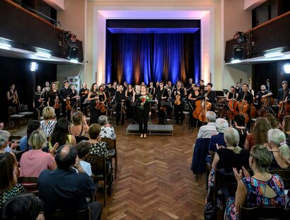 Ševčík Academy Orchestra