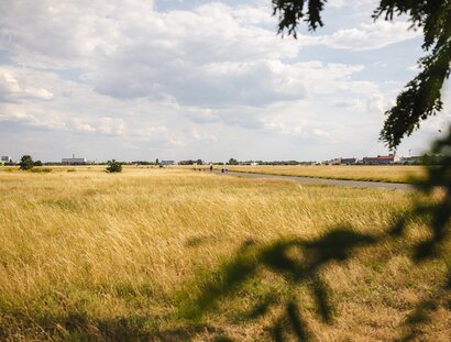 Blick über das Wiesenmeer auf dem Tempelhofer Feld