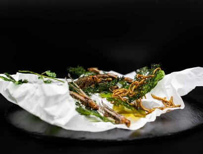 Microcosmos restaurant : plat avec des insectes