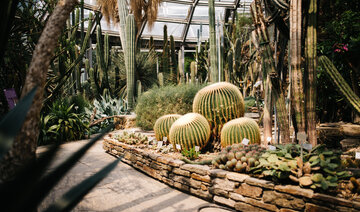 Botanischer Garten und Botanisches Museum Berlin-Dahlem