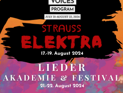 KEY VISUAL Richard Strauss: ELEKTRA