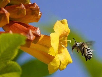 Fotografie von Holger May Fotografie von Holger May