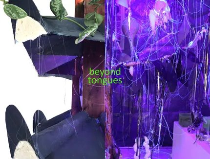 beyond tongues beyond tongues