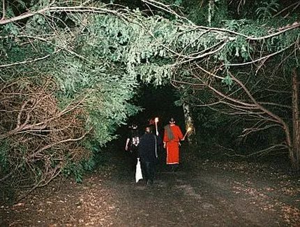 Keltische Mythologie bei Nacht Keltische Mythologie bei Nacht