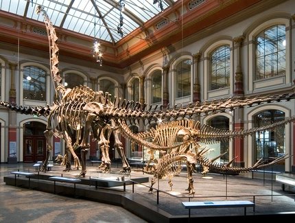Saurierwelt im Museum für Naturkunde Saurierwelt im Museum für Naturkunde