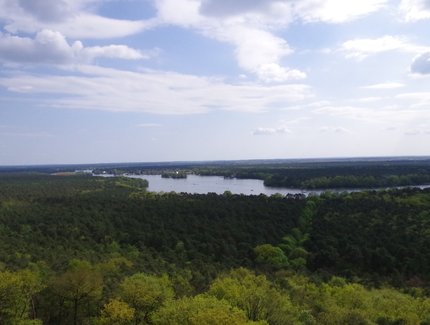 Blick auf den Müggelturm und das umgebende Waldgebiet Blick auf den Müggelturm und das umgebende Waldgebiet