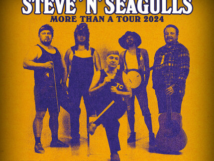 STEVE´N´SEAGULLS - More than a Tour 2024