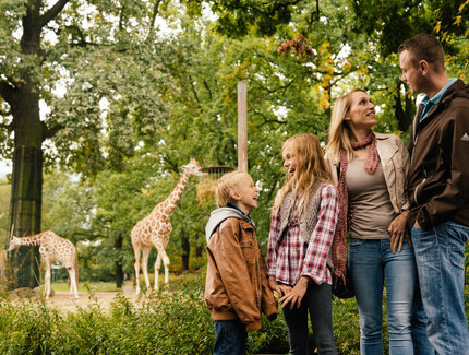 Family at Zoologischer Garten Berlin with giraffes