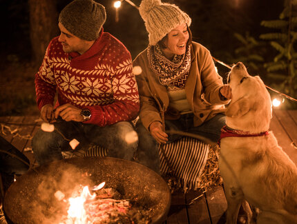 Campfire with dog