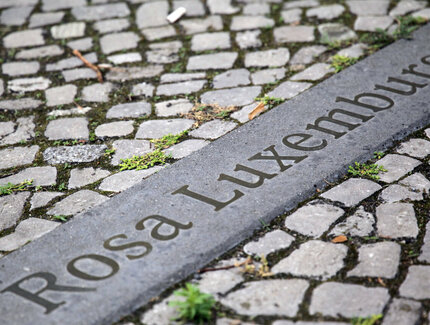 Bodenstein mit Rosa Luxemburg Gravur