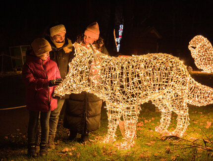 Noël au parc animalier avec " Weihnachten im Tierpark " à Berlin