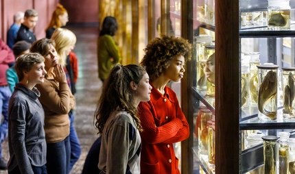 Besucherinnen im Museum für Naturkunde Besucherinnen im Museum für Naturkunde