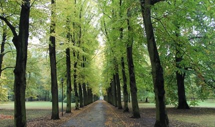 Biesdorf Schloss der Park Schloss Biesdorf