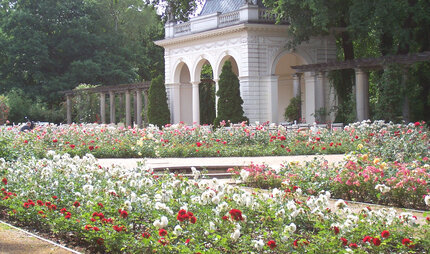 Bürgerpark in Pankow: Blumenbeet und Pavillon im Frühling