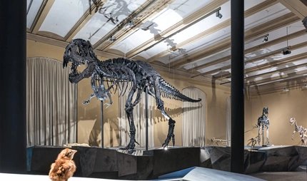 Dinosaur skeleton Tristan in Berlin, Museum of Natural History Dinosaur skeleton Tristan in Berlin, Museum of Natural History