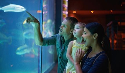 Parents with small children at the Aquarium in Berlin Family at the Aquarium in Berlin
