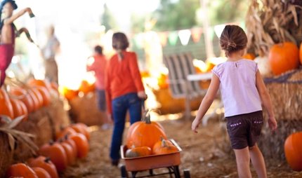 Children with pumpkins Children with pumpkins