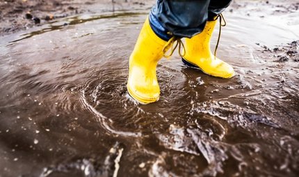 children stays in a puddle