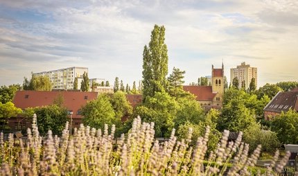 Marzahn Marzahn
