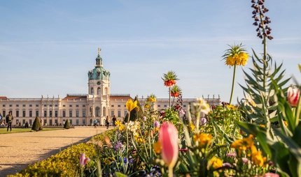 Schloss Charlottenburg im Frühling. Der Park vom Schloss Charlottenburg im Frühling. Im Hintergrund sieht man Schloss Charlottenburg, im Vordergrund blühen Tulpen und andere Blumen
