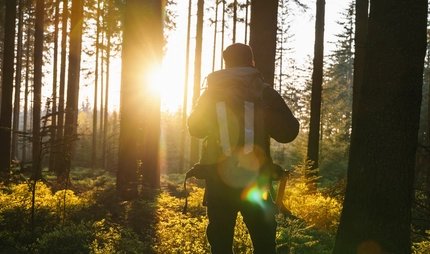 Wanderung im Wald
